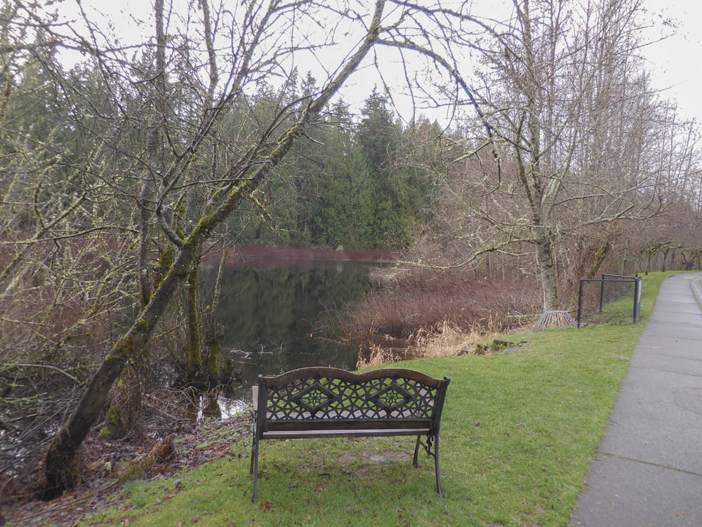 small lake Sammamish