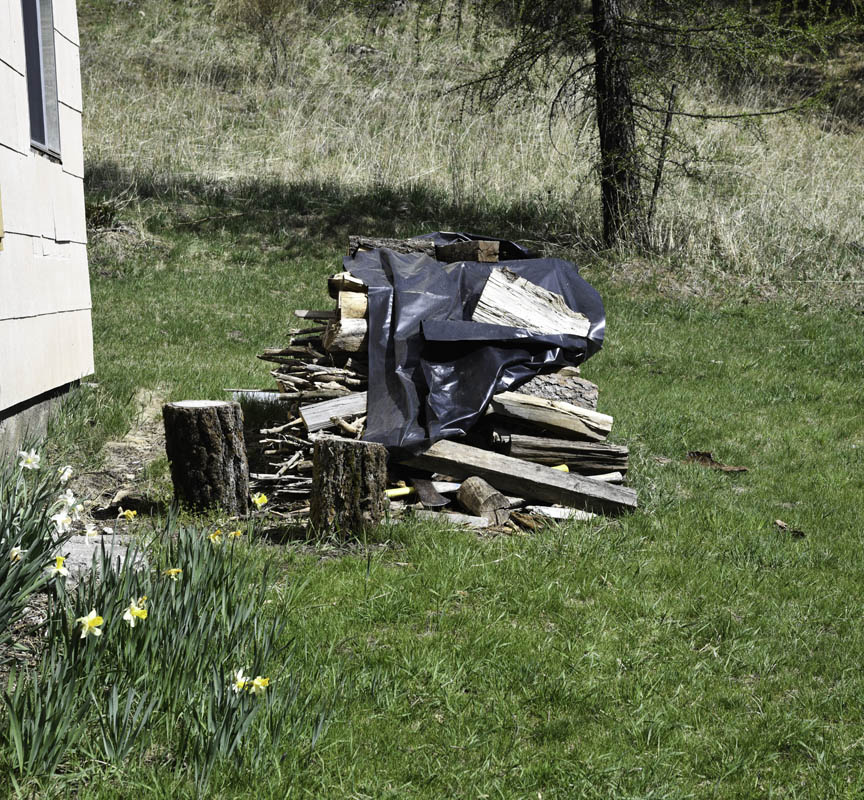 woodpile