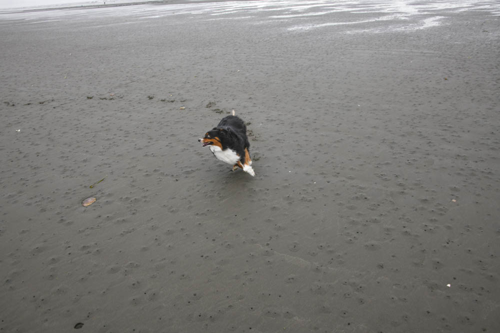 brooks seabrook 2021