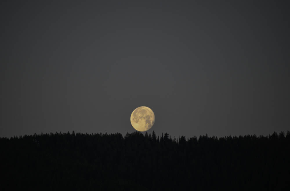moon over dunn mtn