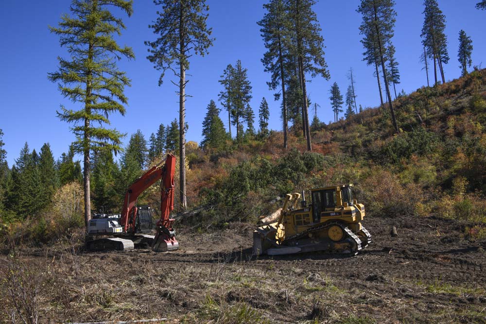 logging on state land