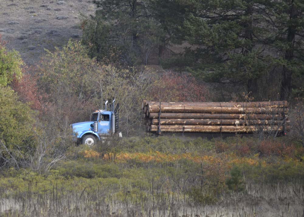 hauling logs on dnr road