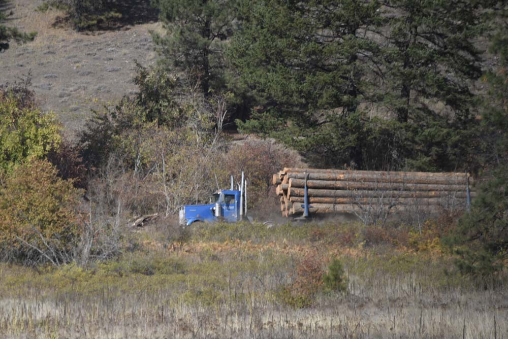 hauling logs on dnr road
