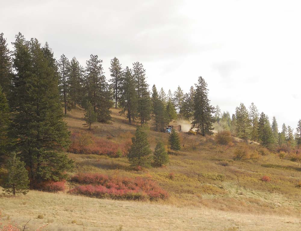hauling logs on dnr road