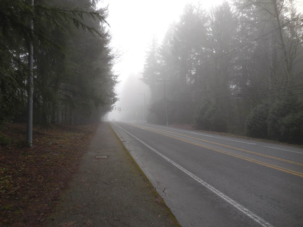 fog sammamish