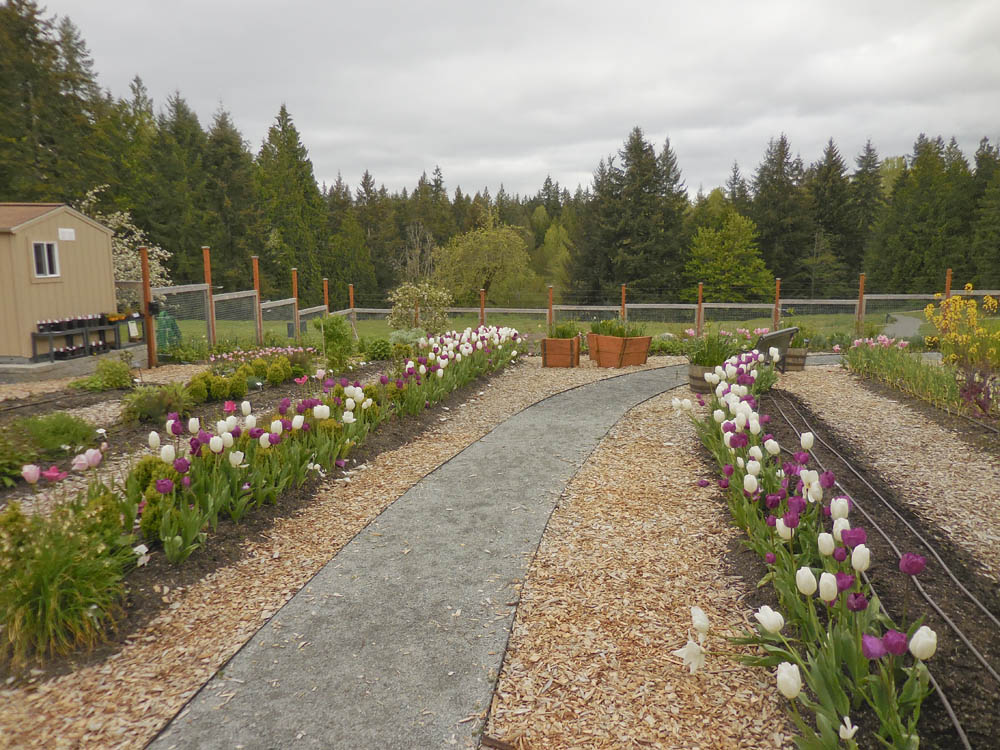 garden big rock park south