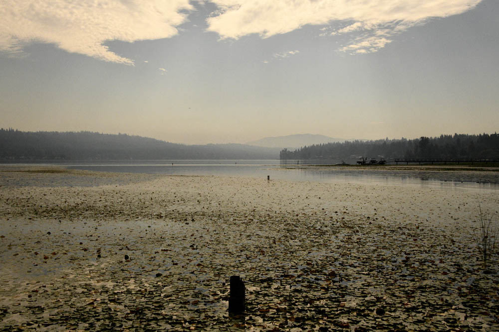 sammamish river begin