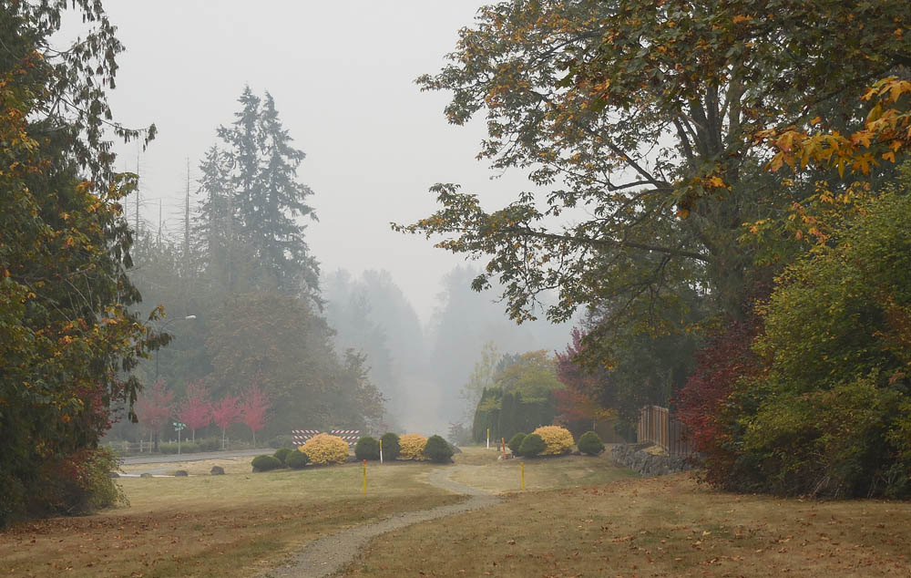smoky day sammamish