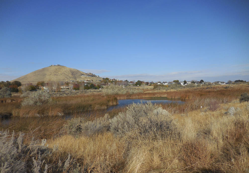 little badger mtn and amon creek