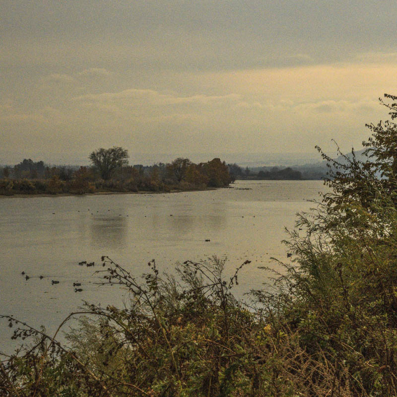 columbia river richland