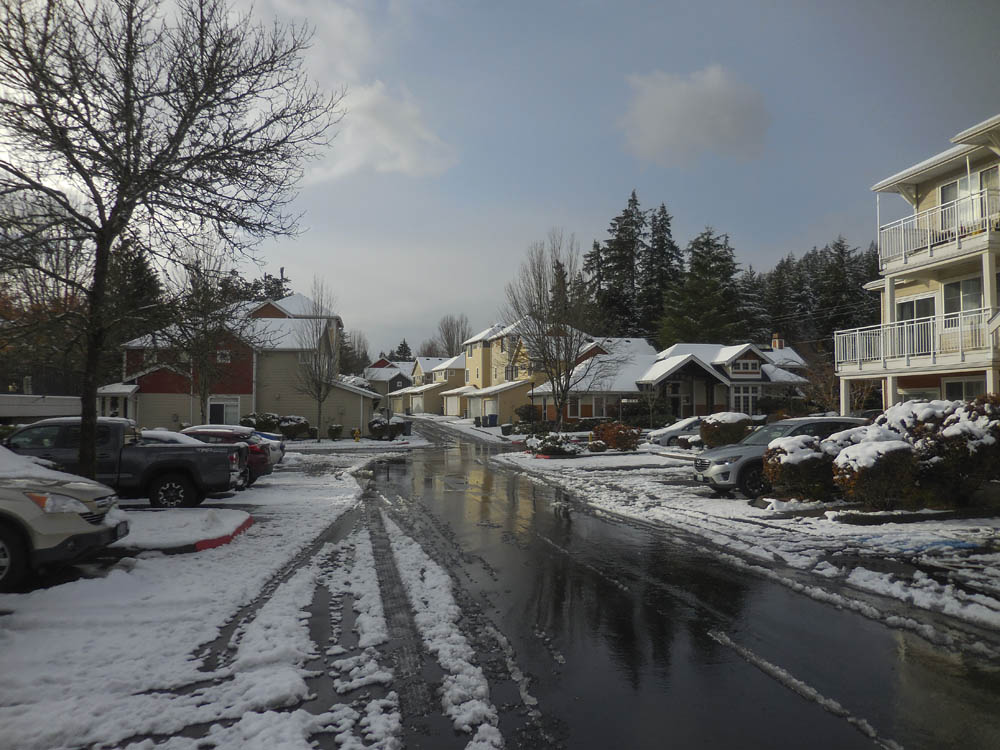 snow sammamish