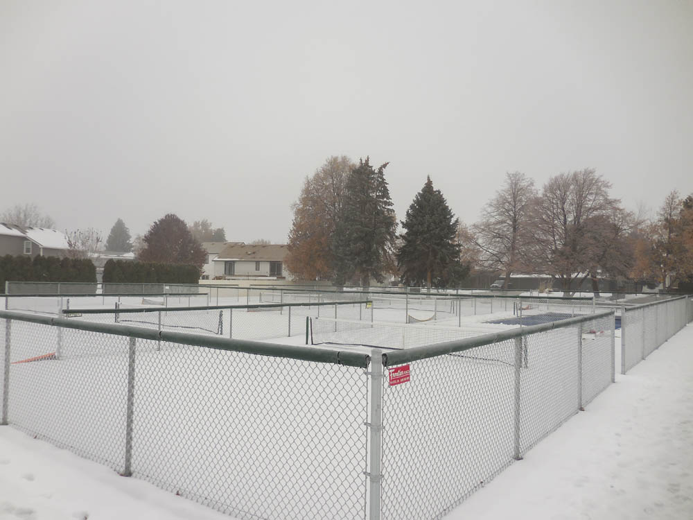 pickle courts