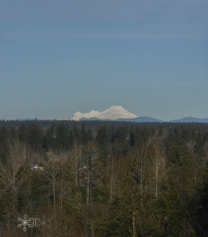 mt baker