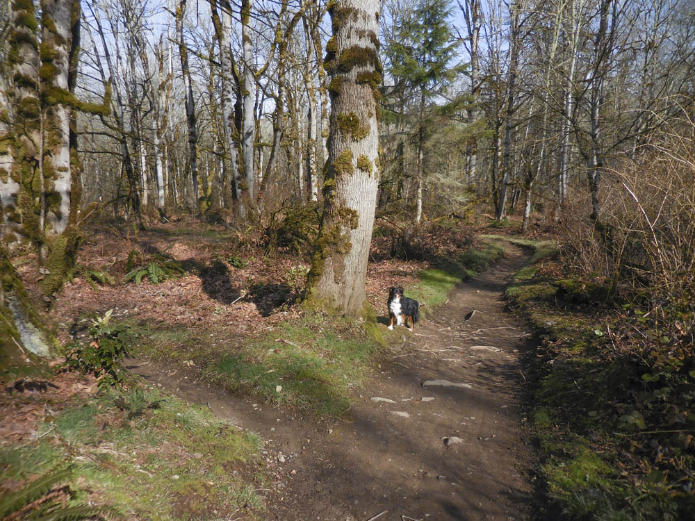 brooks soaring eagle paqrk