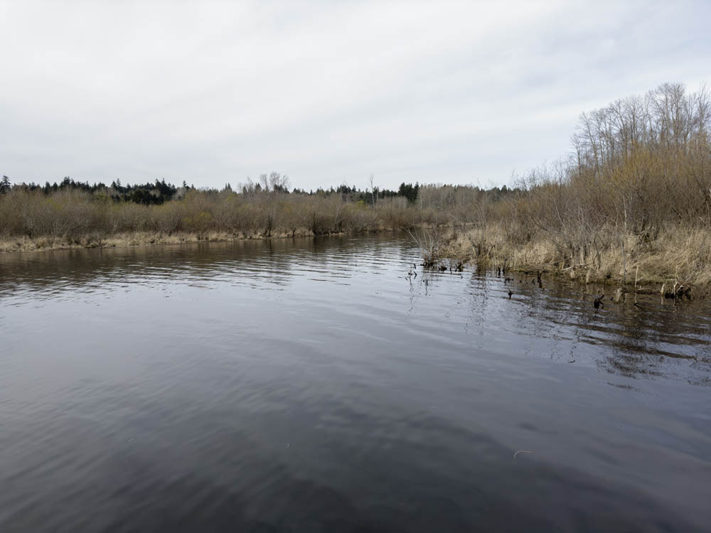 lake sammamish outlet