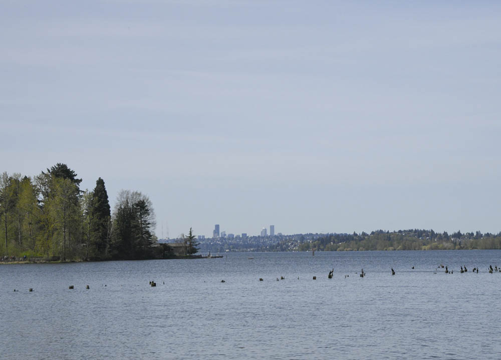 seattle from juanita bay