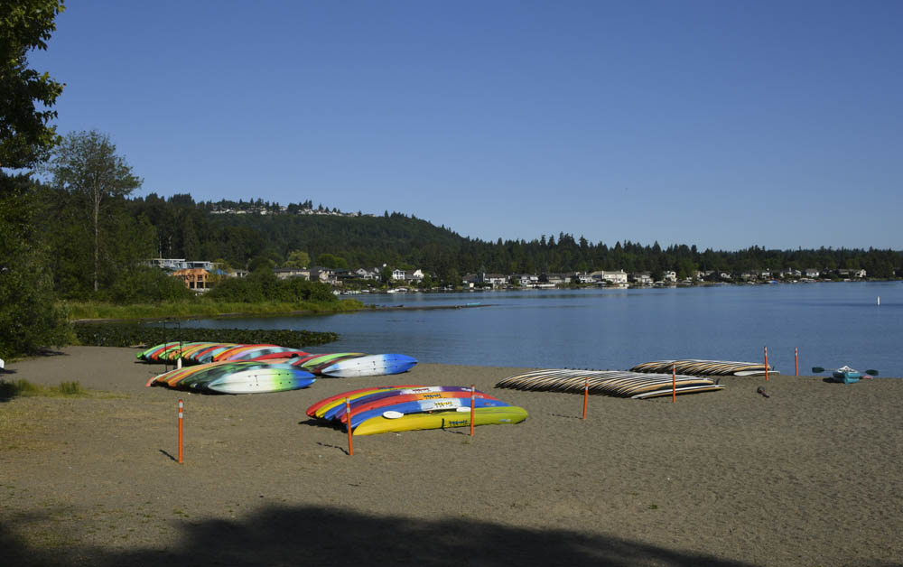 lake sammamish park