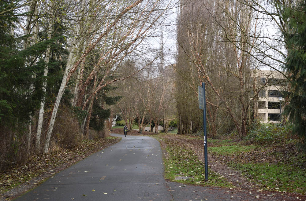 sammamish river trail