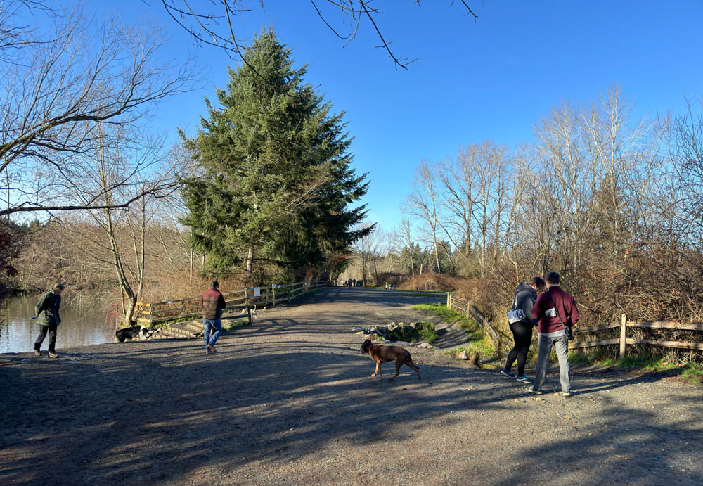 marymoor dog park