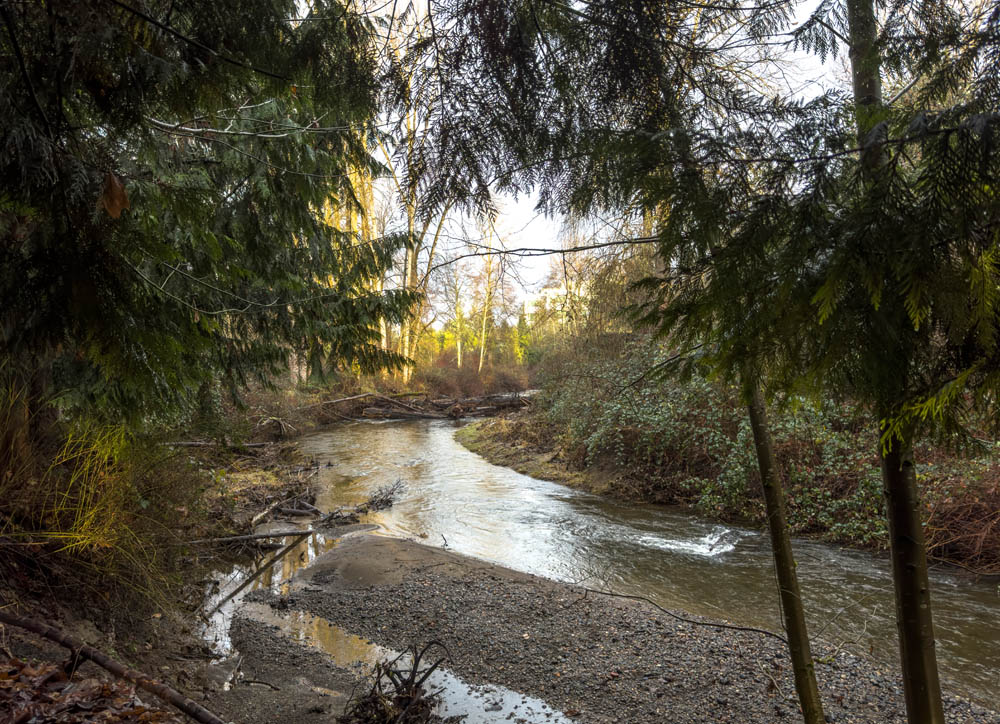 issaquah creek