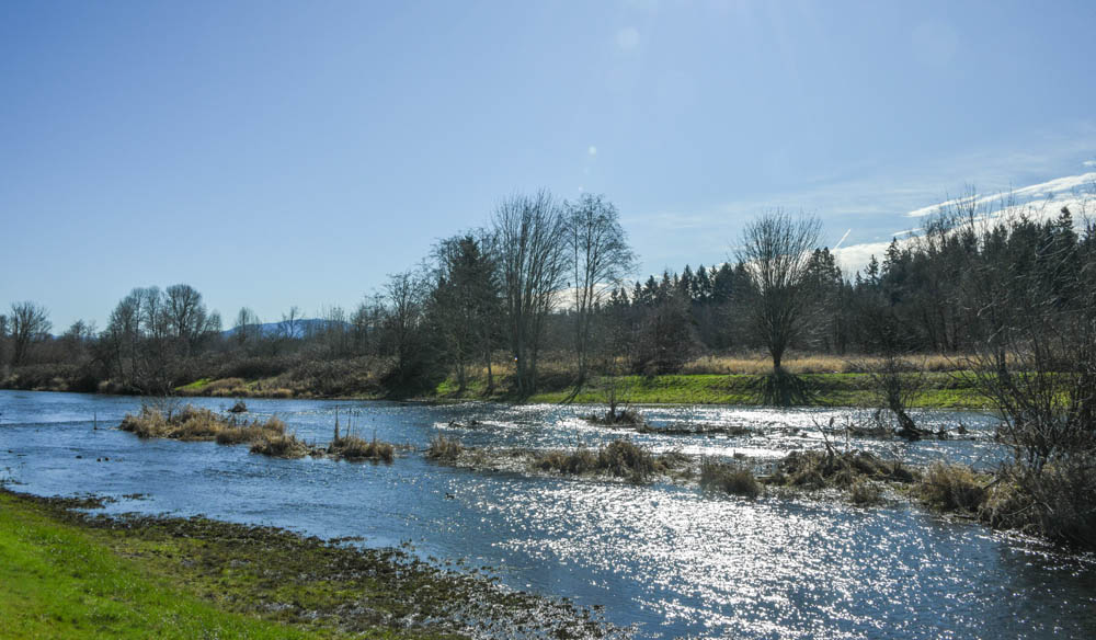 sammamish river
