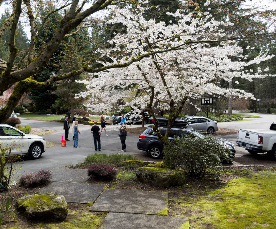 the kids at sarahs 50th birthday