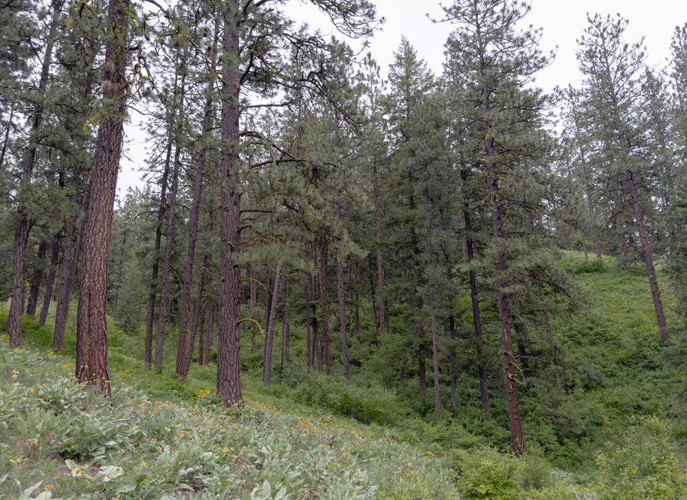 se draw from blue lake