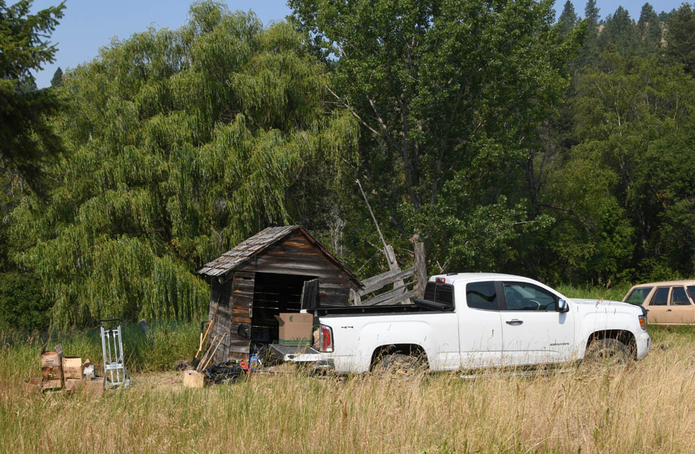 old tree marking paint to recycle