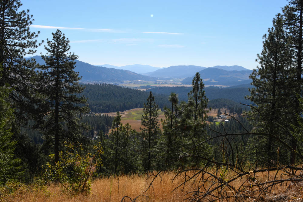 addy from hills behind house