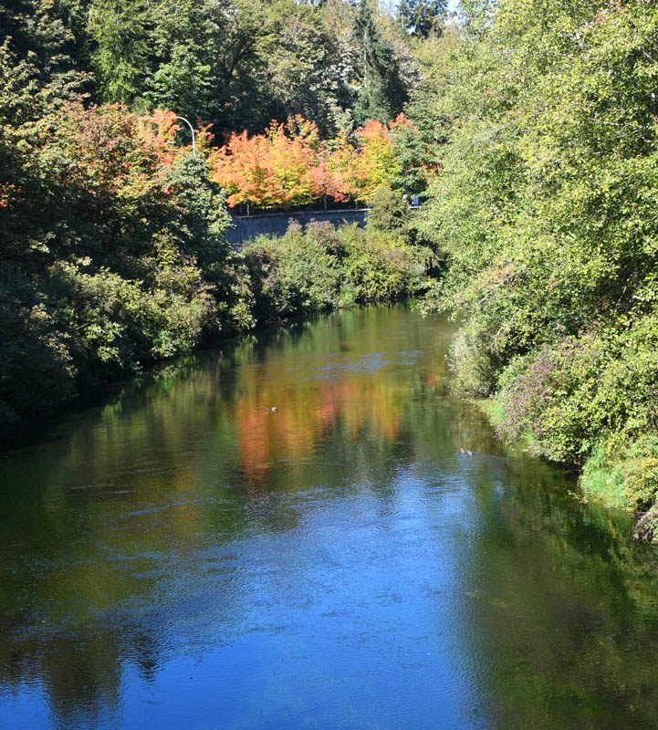 sammamish river