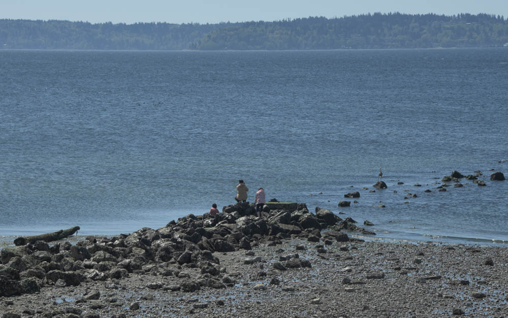 rocky beach alki