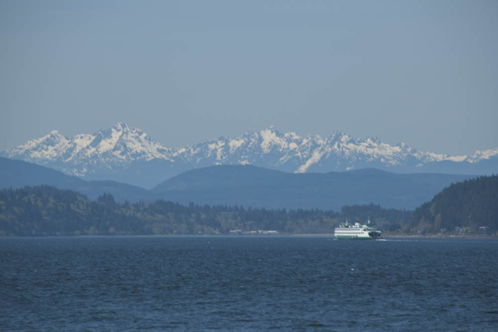 seattle ferry