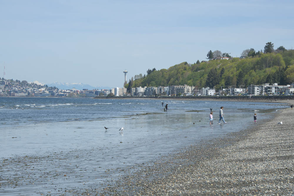 seattle from alki beach