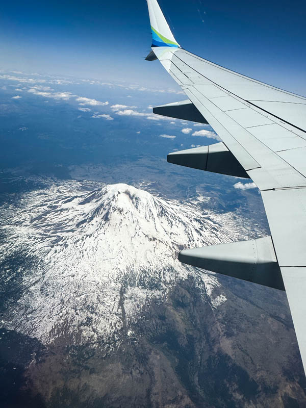 flight to vegas my adams