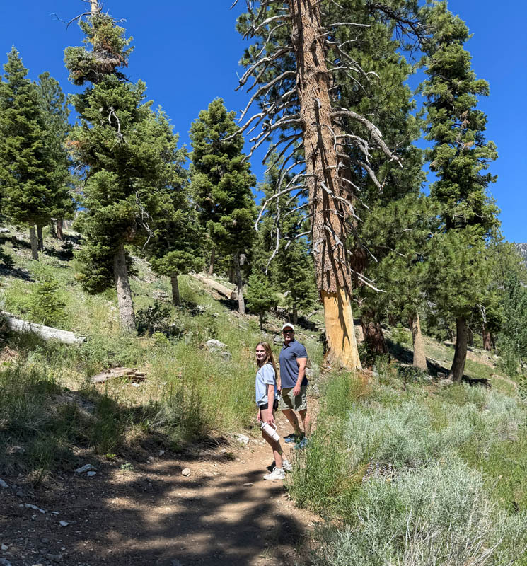 catheradl rock trail