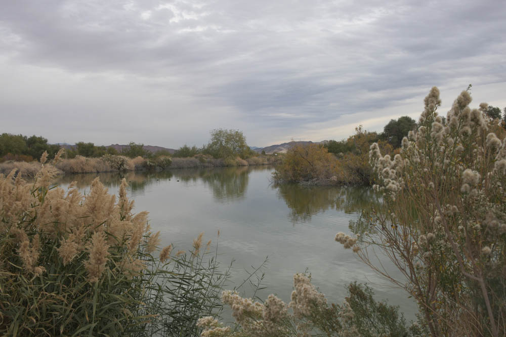 henderson bird preserve