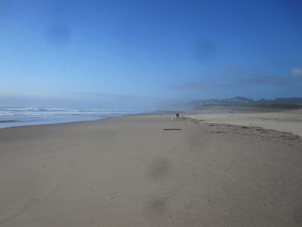 neskowin 2014