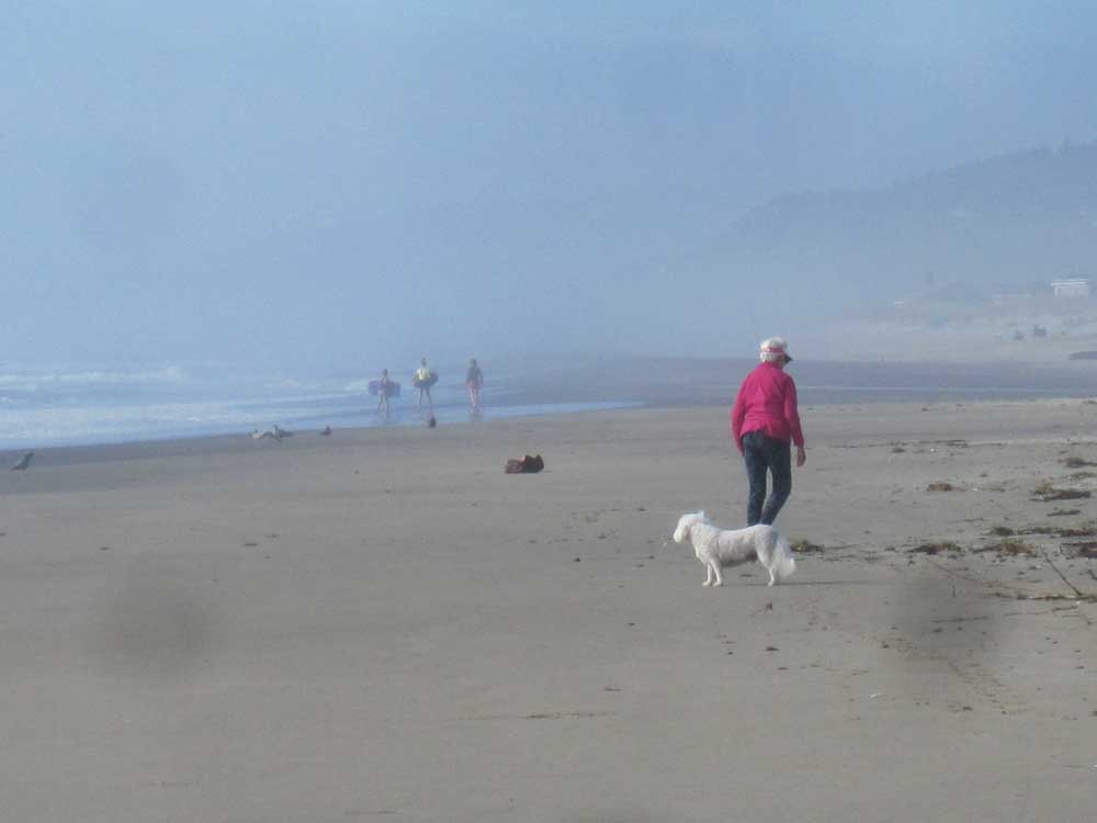 neskowin 2014