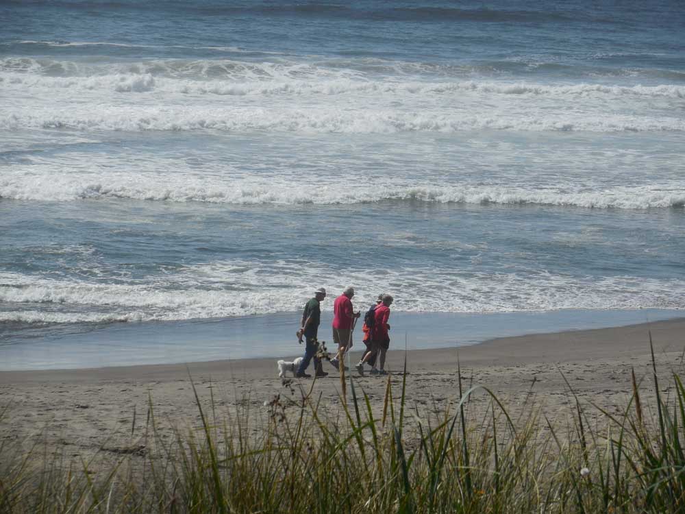 neskowin 2014