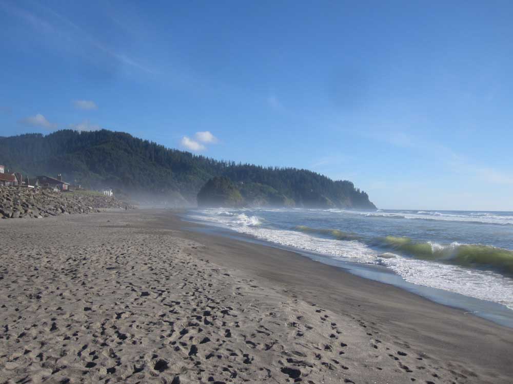 neskowin 2014