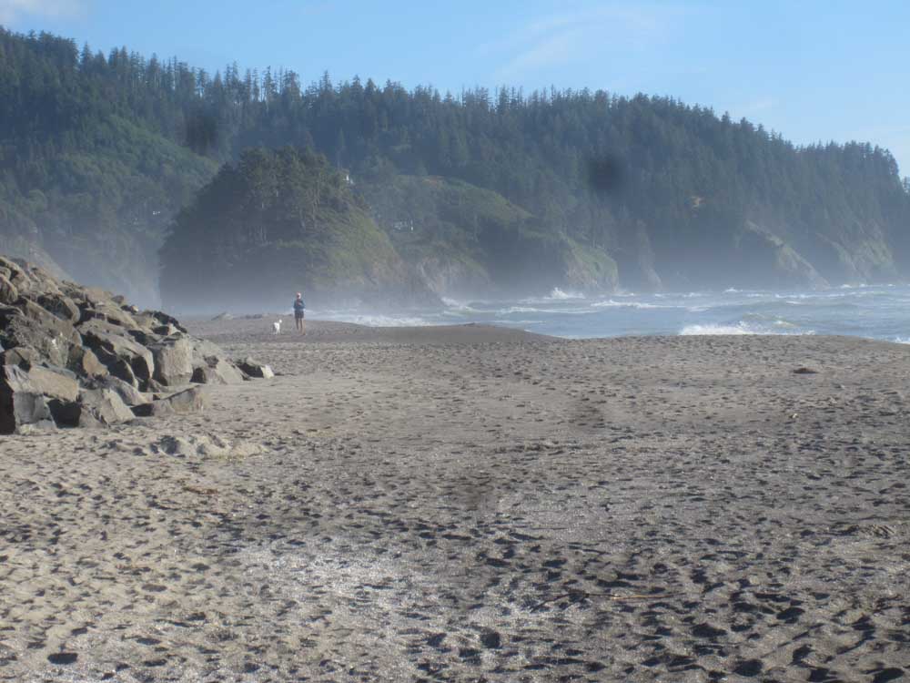 neskowin 2014
