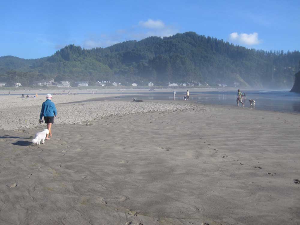neskowin 2014