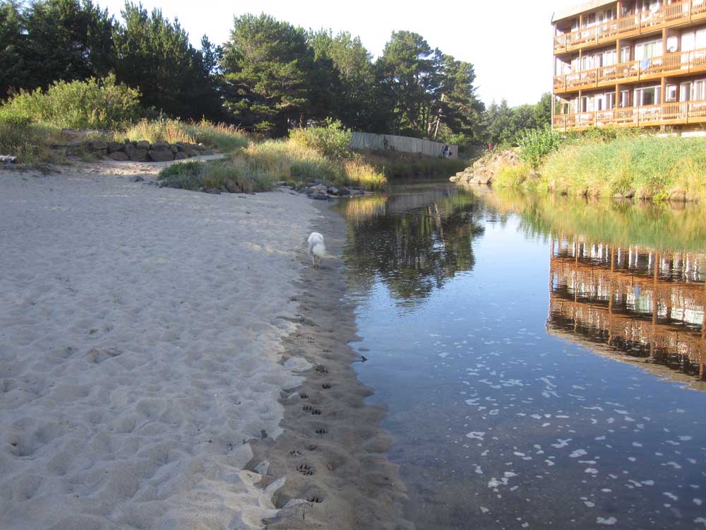 neskowin 2014