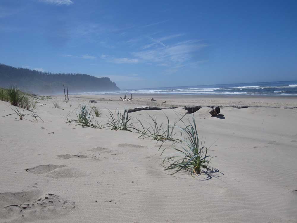 neskowin 2014
